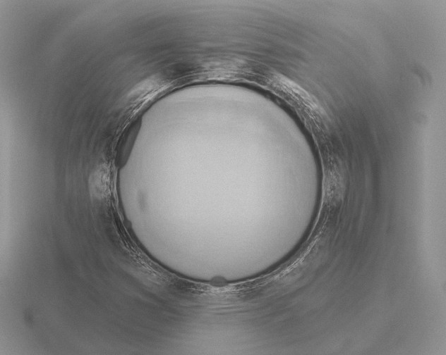 X0000115381353200912151431