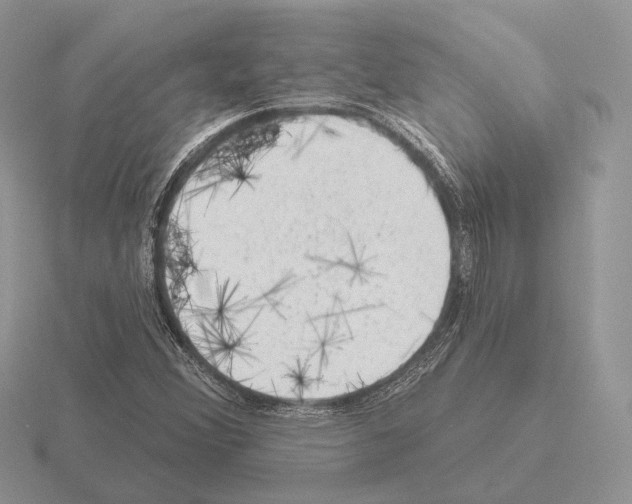 X0000115381356200912151431