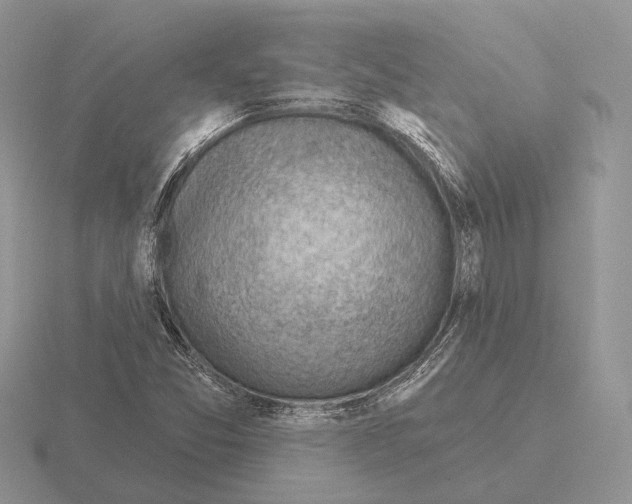 X0000115381357200912151431