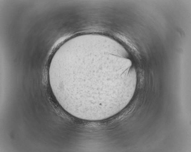 X0000115381358200912151431