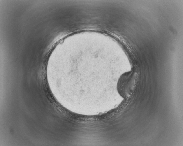 X0000115381359200912151431