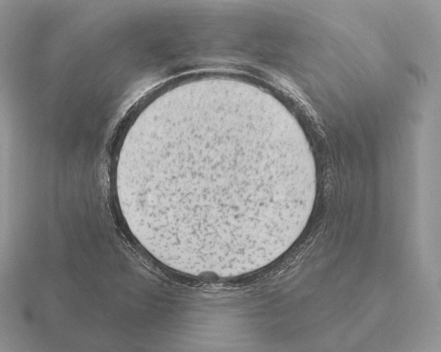 X0000115381360200912151431