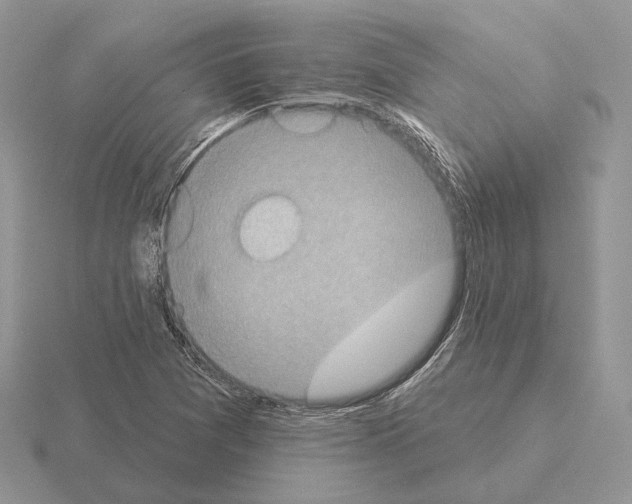 X0000115381361200912151431