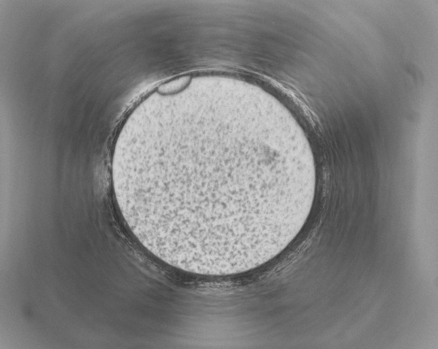 X0000115381363200912151431