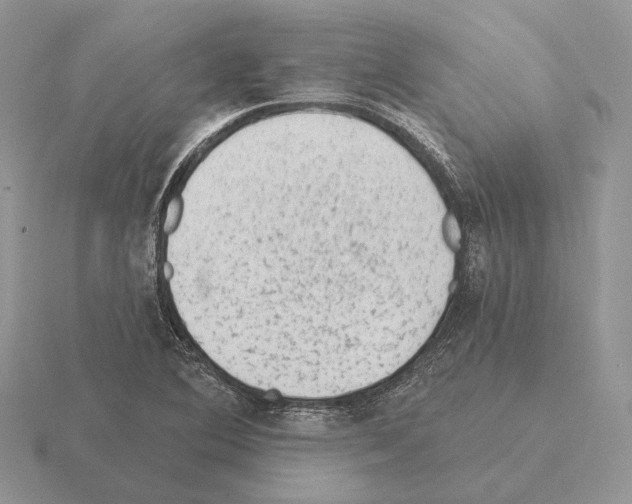 X0000115381364200912151431