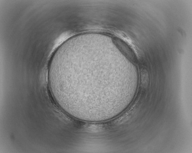 X0000115381365200912151430