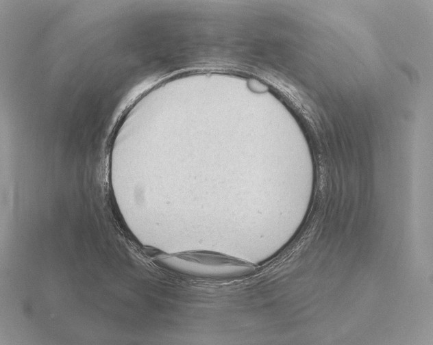 X0000115381366200912151430