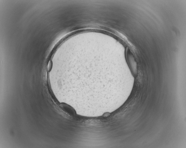 X0000115381368200912151430