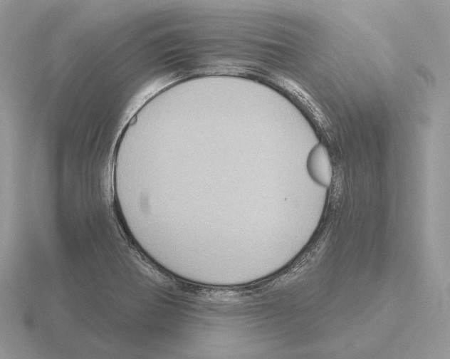 X0000115381370200912151430