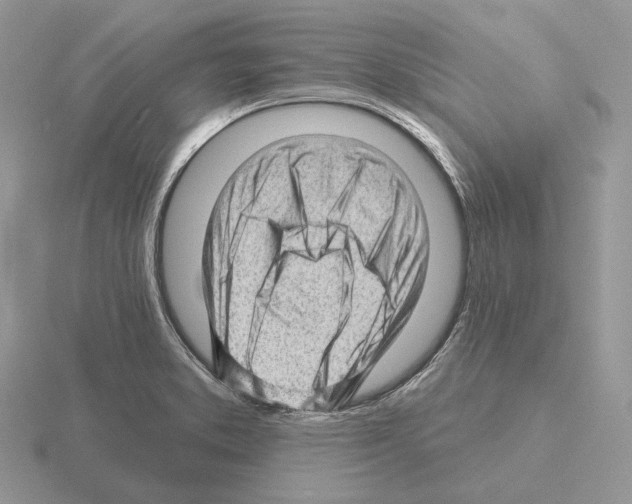 X0000115381373200912151430