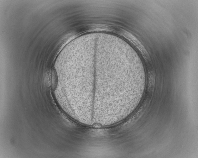 X0000115381377200912151430