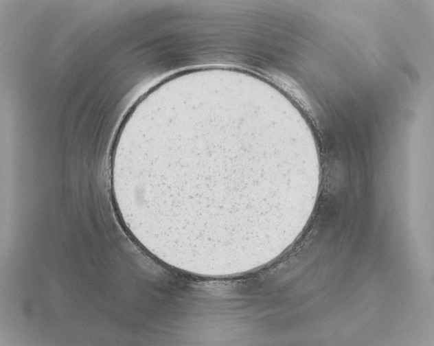 X0000115381380200912151430