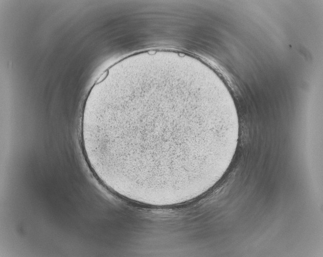 X0000115381383200912151430