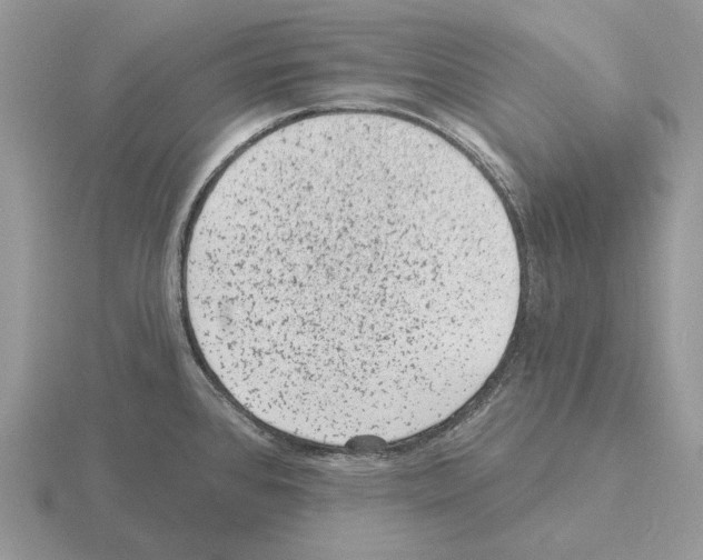 X0000115381384200912151430