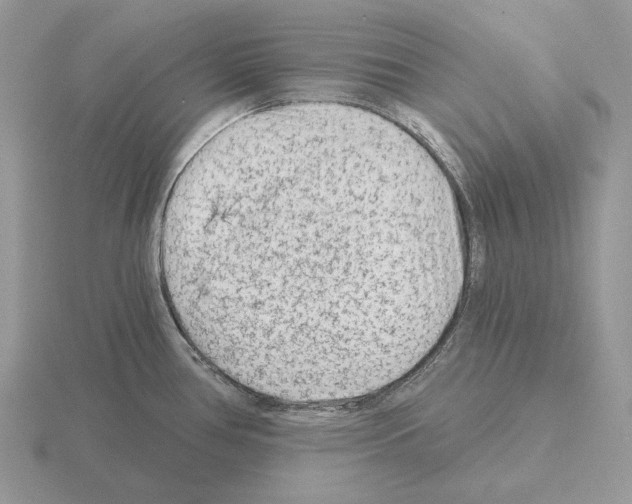 X0000115381386200912151430