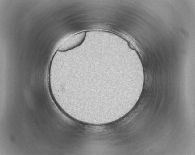 X0000115381387200912151430