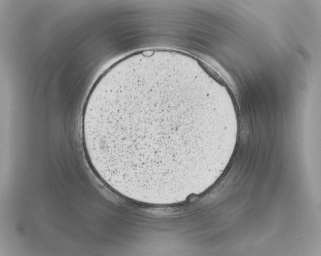 X0000115381388200912151430