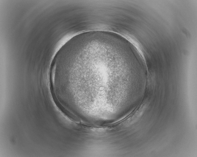 X0000115381389200912151430