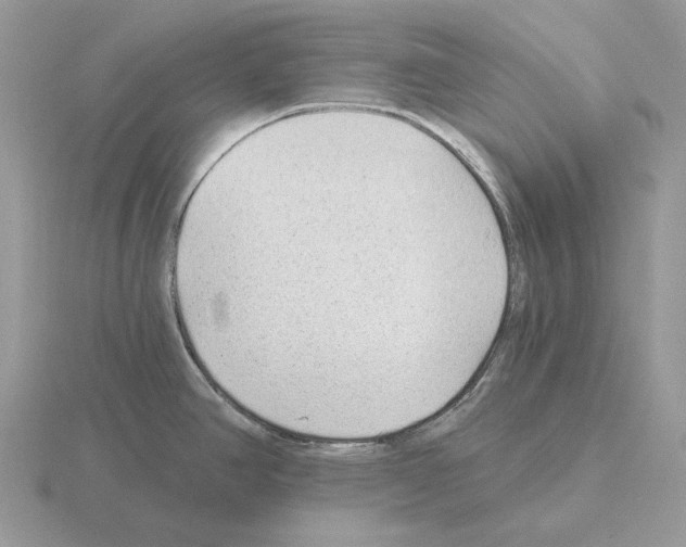 X0000115381390200912151430