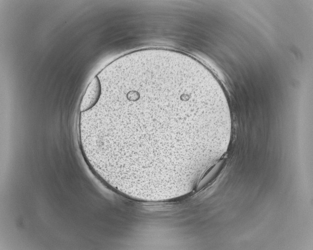 X0000115381391200912151430