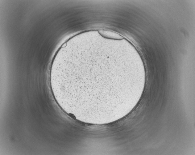 X0000115381392200912151430