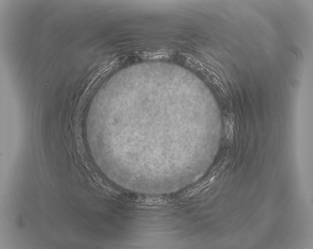 X0000115381393200912151430