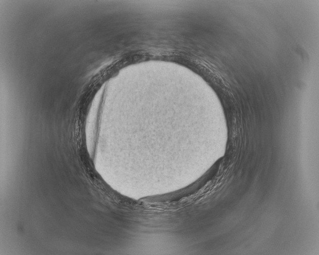 X0000115381398200912151430