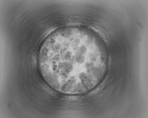 X0000115381401200912151430