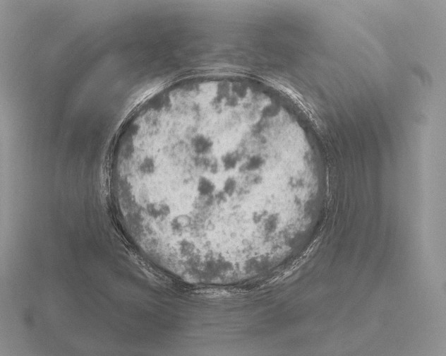 X0000115381405200912151430