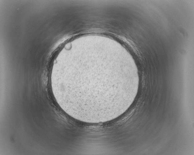 X0000115381406200912151430