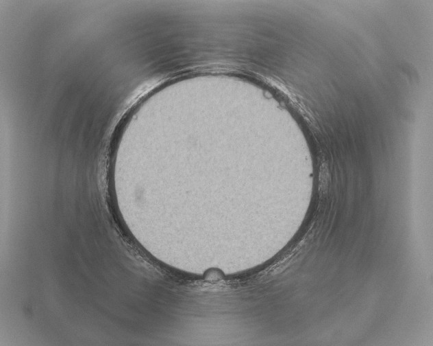 X0000115381410200912151430