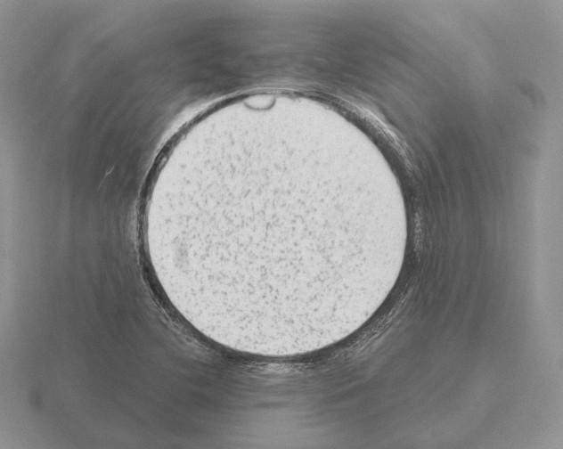 X0000115381412200912151430