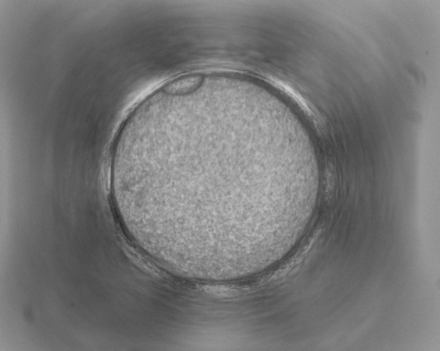 X0000115381413200912151430