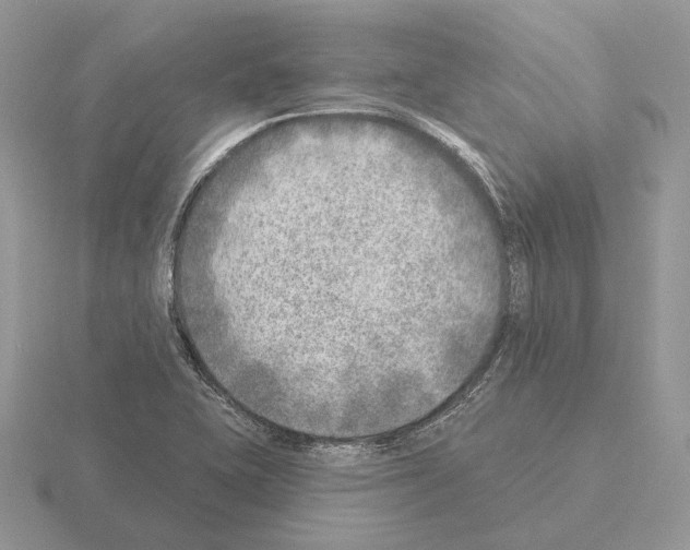 X0000115381415200912151430