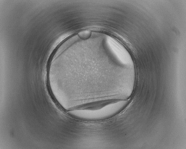 X0000115381418200912151430