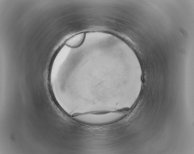 X0000115381422200912151430