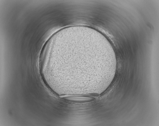 X0000115381423200912151430