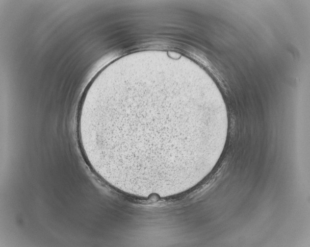 X0000115381426200912151430