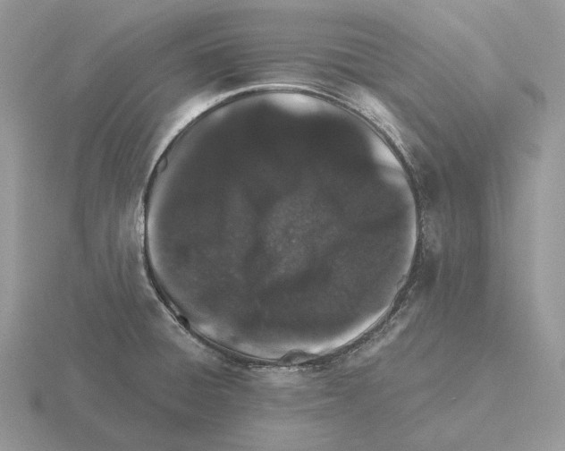 X0000115381428200912151430