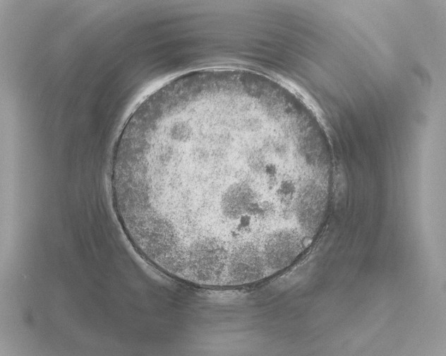 X0000115381429200912151430