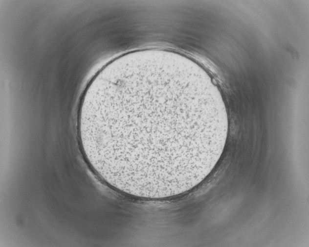 X0000115381430200912151430