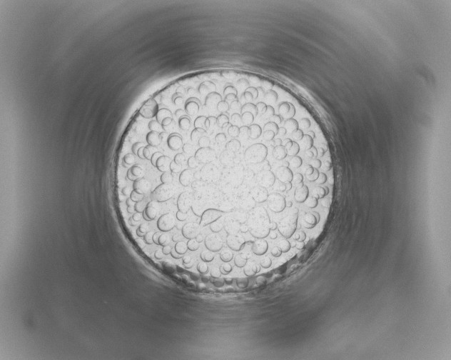 X0000115381432200912151430