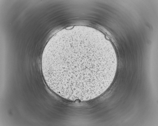 X0000115381433200912151430