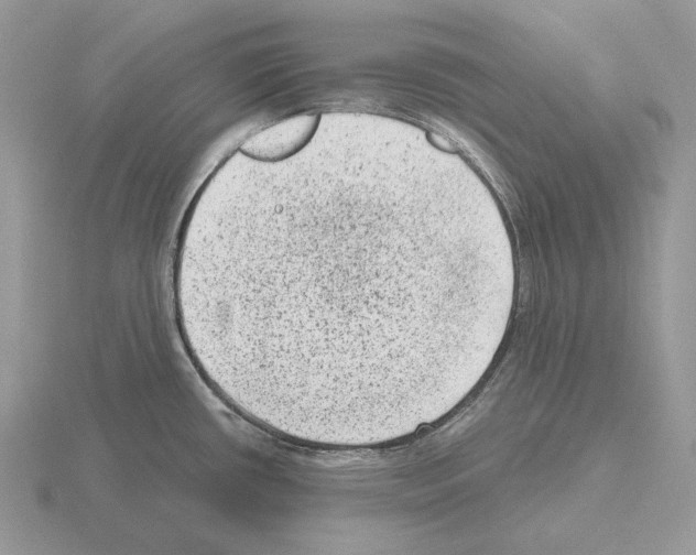 X0000115381434200912151430