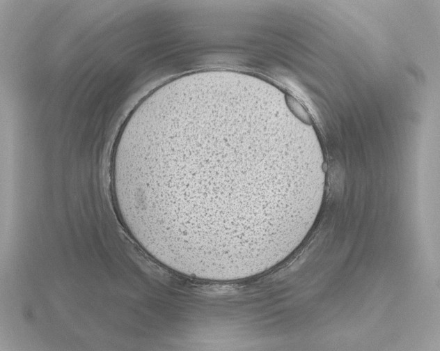 X0000115381435200912151430