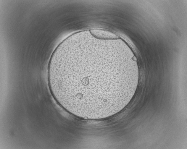 X0000115381439200912151430