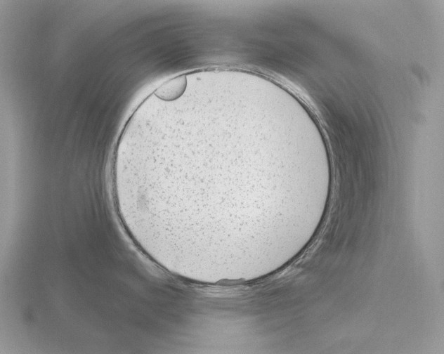 X0000115381440200912151430