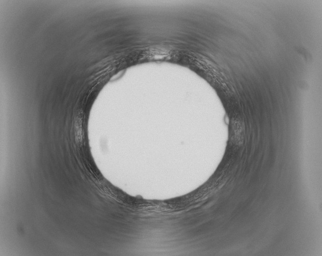 X0000115381442200912151430