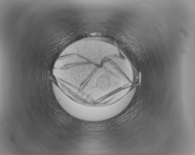 X0000115381443200912151429