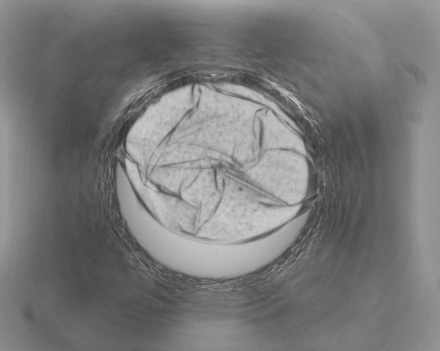 X0000115381447200912151429